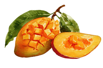 Bright mango watercolor icon on no background ready for summer dessert branding and web graphics