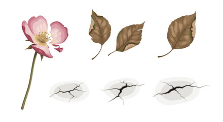 Watercolor illustration of a pink flower with leaves and cracked earth on a white background art