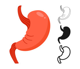 Human stomach symbol set. Anatomical organ stomach muscular digestion sign icon on white background. Drawing human stomach for medical infographic, children simple style design vector illustration