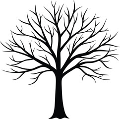 Obraz premium Autumn tree without leaves vector silhouette