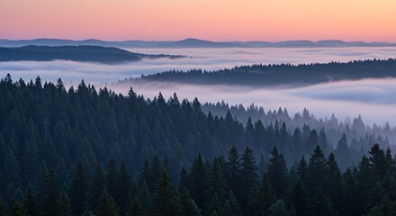 Obraz premium Misty forest landscape with evergreen trees and mountains at sunrise in Oregon