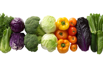 3D Render a row of different types of vegetables on a white surface