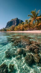 Clear turquoise waters reveal vibrant coral reefs near a tropical island under a bright blue sky