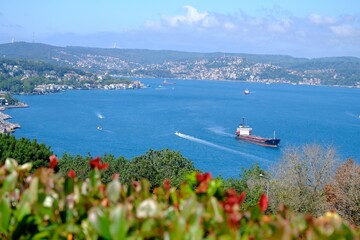 A bird's-eye view of the Bosphorus from a hill. General view of the Bosphorus. Trees, ships passing through the Bosphorus. Forest and greenery. Istanbul - Turkey.