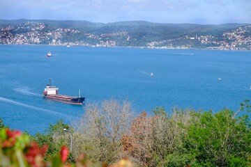 A bird's-eye view of the Bosphorus from a hill. General view of the Bosphorus. Trees, ships passing through the Bosphorus. Forest and greenery. Istanbul - Turkey.