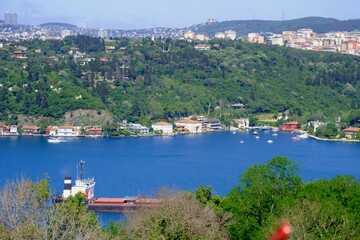 A bird's-eye view of the Bosphorus from a hill. General view of the Bosphorus. Trees, ships passing through the Bosphorus. Forest and greenery. Istanbul - Turkey.