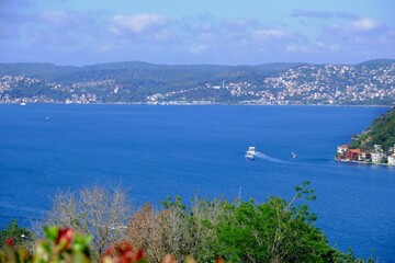 A bird's-eye view of the Bosphorus from a hill. General view of the Bosphorus. Trees, ships passing through the Bosphorus. Forest and greenery. Istanbul - Turkey.