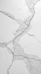 Abstract White Marble Texture for Interior Design and Surfaces