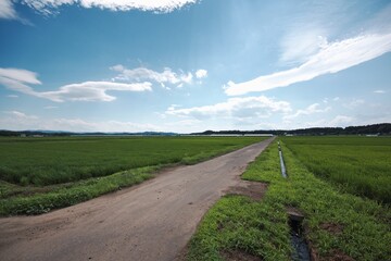 日本の農村の風景