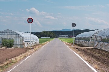 日本の農村の風景