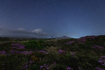 星空の山並とミヤマキリシマ の花