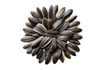 3D Render a bunch of sunflower seeds on a white surface
