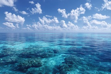 Obraz premium Turquoise ocean, bright sky, coral reefs