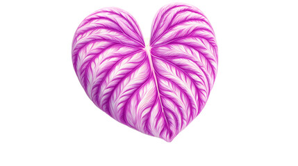 Pink And Purple Heart Shaped Leaf With Intricate Veins On Transparent Background