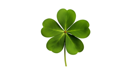 An isolated four leaf clover shines bright against a transparent backdrop symbolizing good fortune, hope, and Irish heritage.