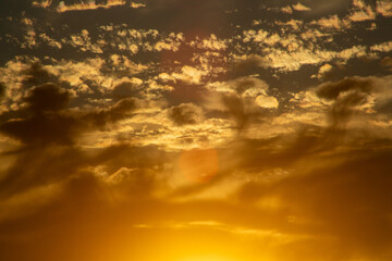夏の奄美大島の朝の風景。