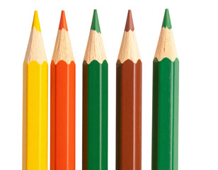 Fototapeta premium Set of Wooden Colored Pencils in Green, Brown, Red, and Yellow Isolated on Transparent Background PNG