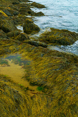 Reid State Park in Georgetown, Maine