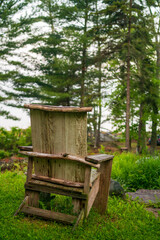 Naklejka premium Wooden chair with pine trees in the background