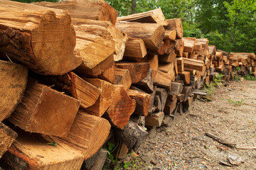 Piles of cut firewood