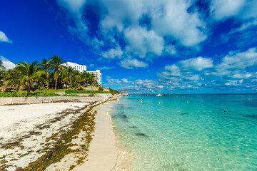 Scenic Playa Tortugas Beach with Marina and Crystal Clear Caribbean Waters in Cancun, Mexico