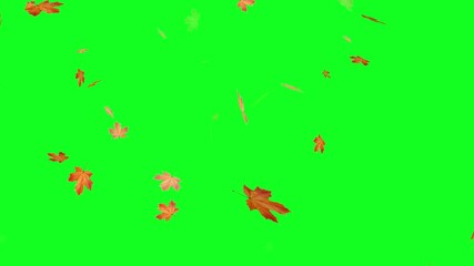 autumn maple leaves fall green screen, Autumnal maple leaves rotation background.
autumn leaves. Small leaves fall off. Falling autumn leaves backgrounds, Falling autumn maple leaves realistic. - Powered by Adobe