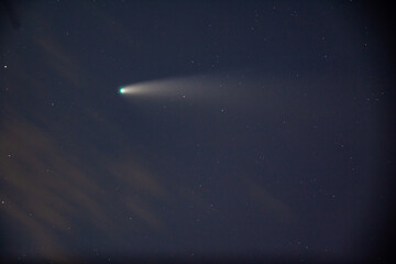 Comet NEOWISE Soaring Above Silhouetted Trees at Night