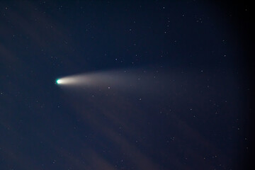 Comet NEOWISE Soaring Above Silhouetted Trees at Night