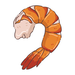A vibrant and appealing illustration of a single cooked shrimp, curled into a classic "C" shape, showcasing its characteristic bright orange and pink segments with a hint of white