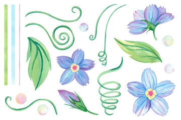 Forget-me-not flower, Myosotis, abstract fantasy blue flower, leaves, tendril, foliage wildflower, herb, garden plant, collection of floral illustration. Hand drawn watercolor set of isolated objects