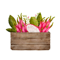Colorful Dragon Fruit Displayed in a Rustic Wooden Crate Surrounded by Greenery