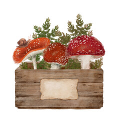Red fly agarics and fern leaves in wooden box, watercolor clip art