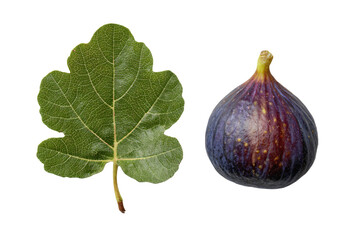 3D Render a fig and a leaf on a white background