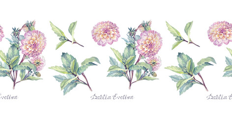 Watercolor seamless border with pink flower Dahlia and lettering on white background. Hand-drawn floral autumn plant for frame. Rim for florist or wedding celebration invite. Wallpaper or wrapping