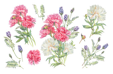Watercolor set with blue wildflower astragalus and pink peony isolated on white background. Hand-drawn spring and summer flower. Clipart with bouquet for sticker florist or wrapping and wallpaper