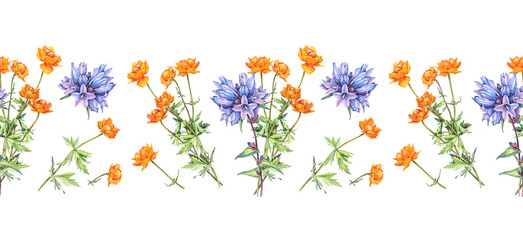 Seamless rim with watercolor bouquet with bellflower and frying flowers Trollius on white background. Orange blue summer wildflower. Meadow herbs. Botanical border pattern for wallpaper or wrapping