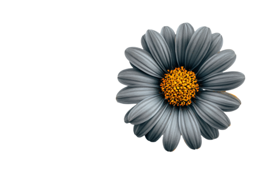 3D Render a single flower with a yellow center on a white background