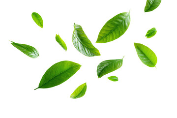 3D Render a group of green leaves flying in the air