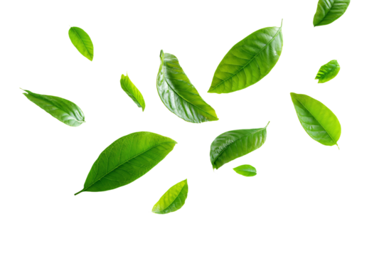3D Render a group of green leaves flying in the air