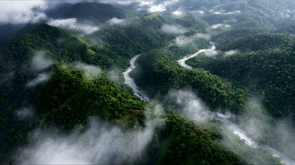 Aerial view of a remote lush rainforest landscape with winding ridges and valleys blanketed in dramatic flowing mist and clouds