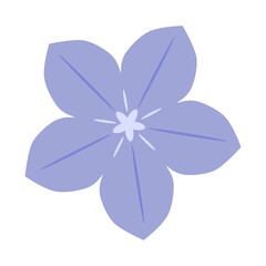 秋の花桔梗の素材