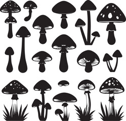 set of vector mushrooms nature black white background 