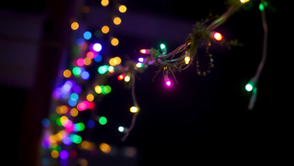 A close up of colorful christmas lights hanging on a branch against a dark background