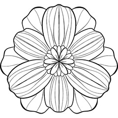 White flower sketch isolated on black, a seamless vintage floral pattern design with lily blossoms and leaves, perfect for nature-inspired illustration art