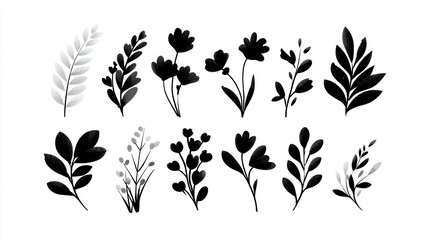 Monochrome floral photography, exquisite black and white blossoms in timeless elegance