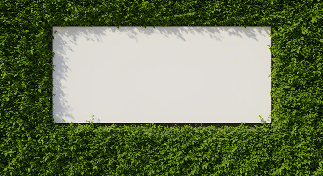 White Rectangular Signboard with Green Foliage Border in Outdoor Garden Setting