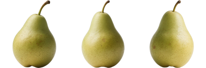 梨　洋梨　果物　フルーツ　素材