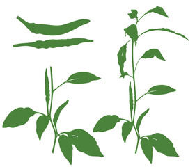 Botanical Vector Illustration of Green Leaves and Stems for Natural Design Elements