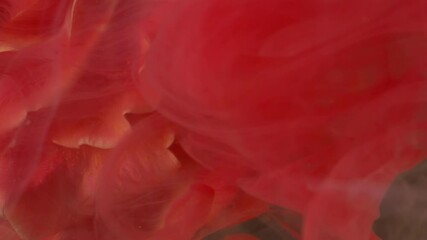 Vertical video. Floral ink. Blossom paint. Defocused red color rose water texture liquid splash flower nature plant petals on abstract art bright background. - Powered by Adobe