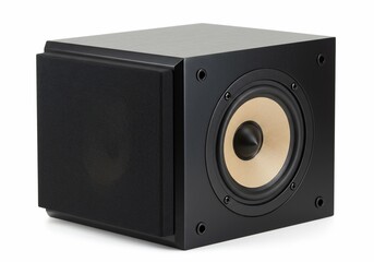Obraz premium Black Subwoofer with Tan Cone and Mesh Grille on White Background